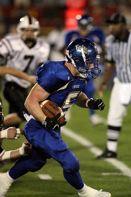 画的创作 画的创作