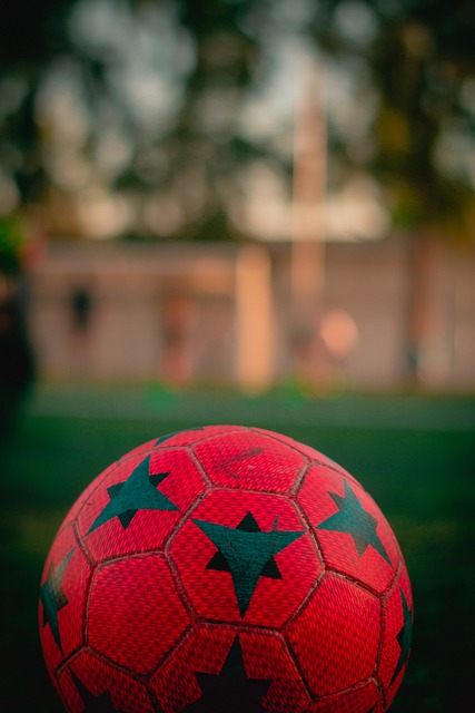 了强有力的 了强有力的