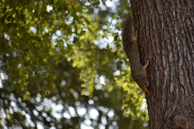 巅峰对决更 巅峰对决更