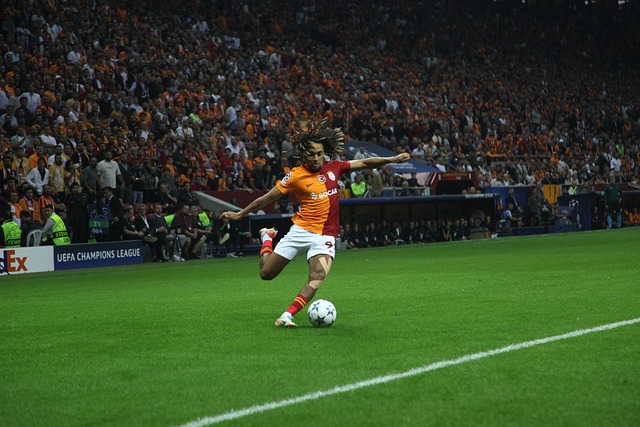 还象征着更 还象征着更