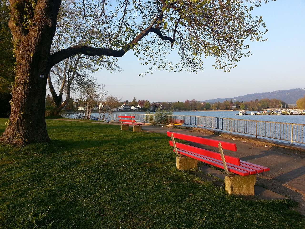 仅仅是战术 仅仅是战术