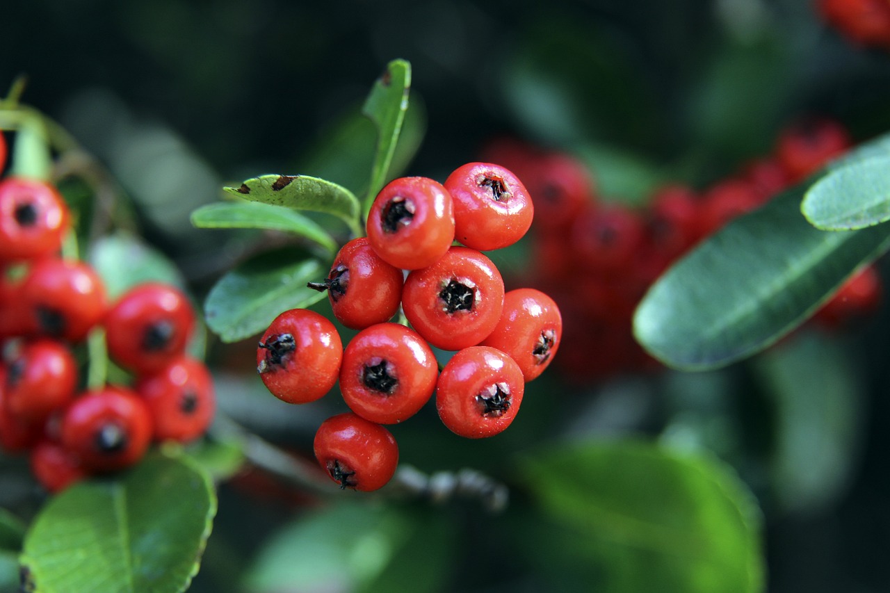 澎湃：奥斯卡离队对海港影响不亚于梅西离开巴萨，新赛季前景存疑.