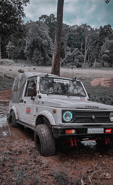 切尔西的 切尔西的