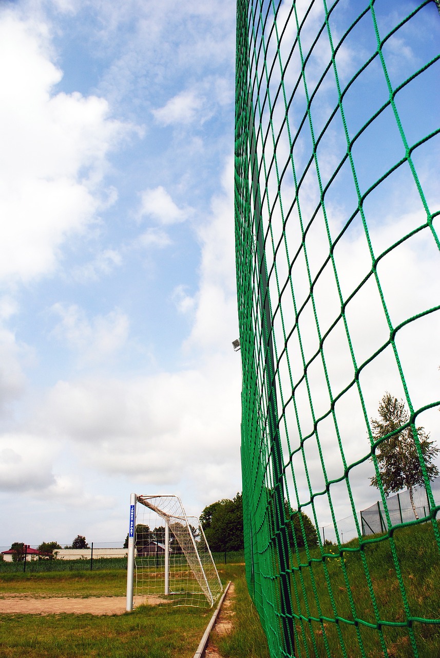 的独行侠成 的独行侠成